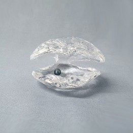 Swarovski Kristal | Crystal Paradise | Pareloester - Zwarte Parel 5075913